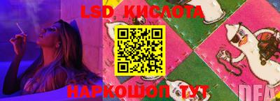 крисы Гатчина