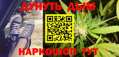 крисы Гатчина