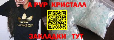 крисы Гатчина