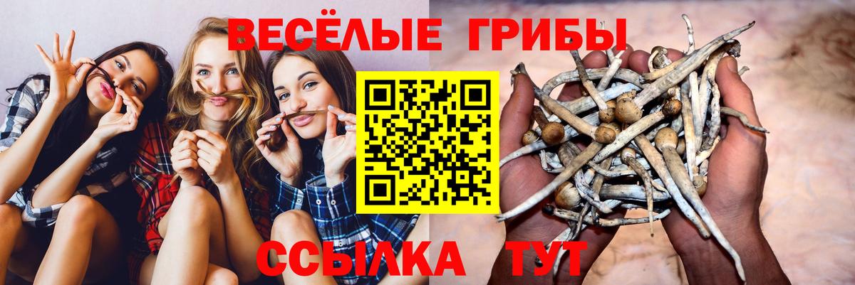 Мурманск  Псилоцибиновые грибы Psilocybe  Вход с VPN  Галлюциногенные грибы Psilocybine cubensis 
