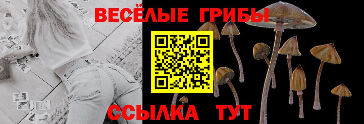 Галлюциногенные грибы ЛСД Мурманск